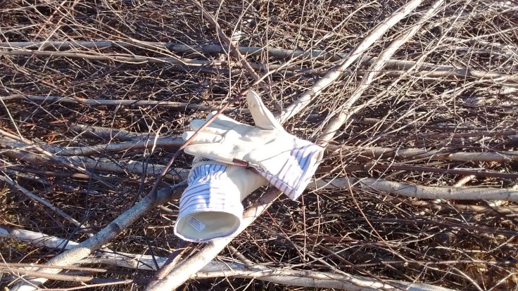 IMG_20181226_123514702