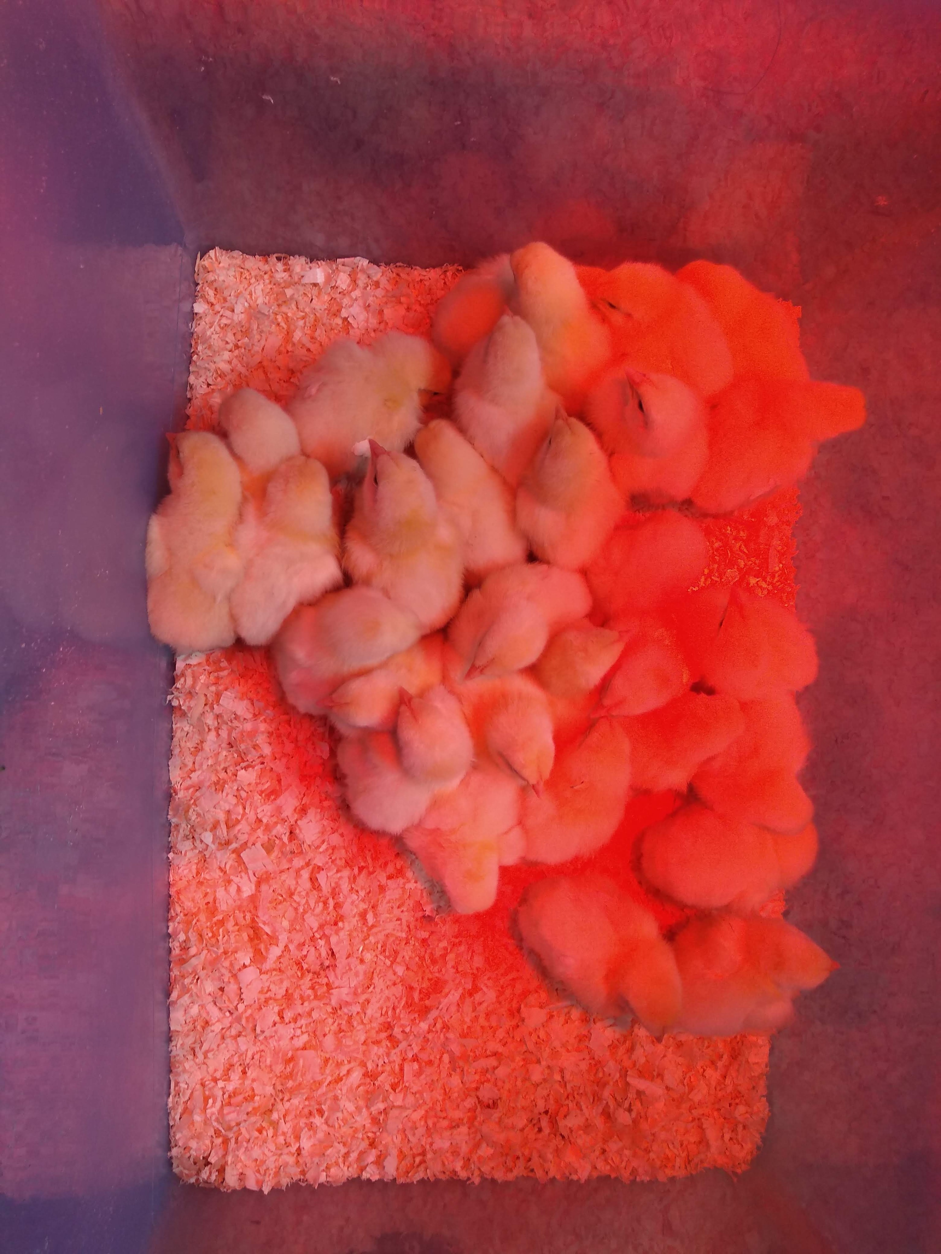 img_20190522_135122834