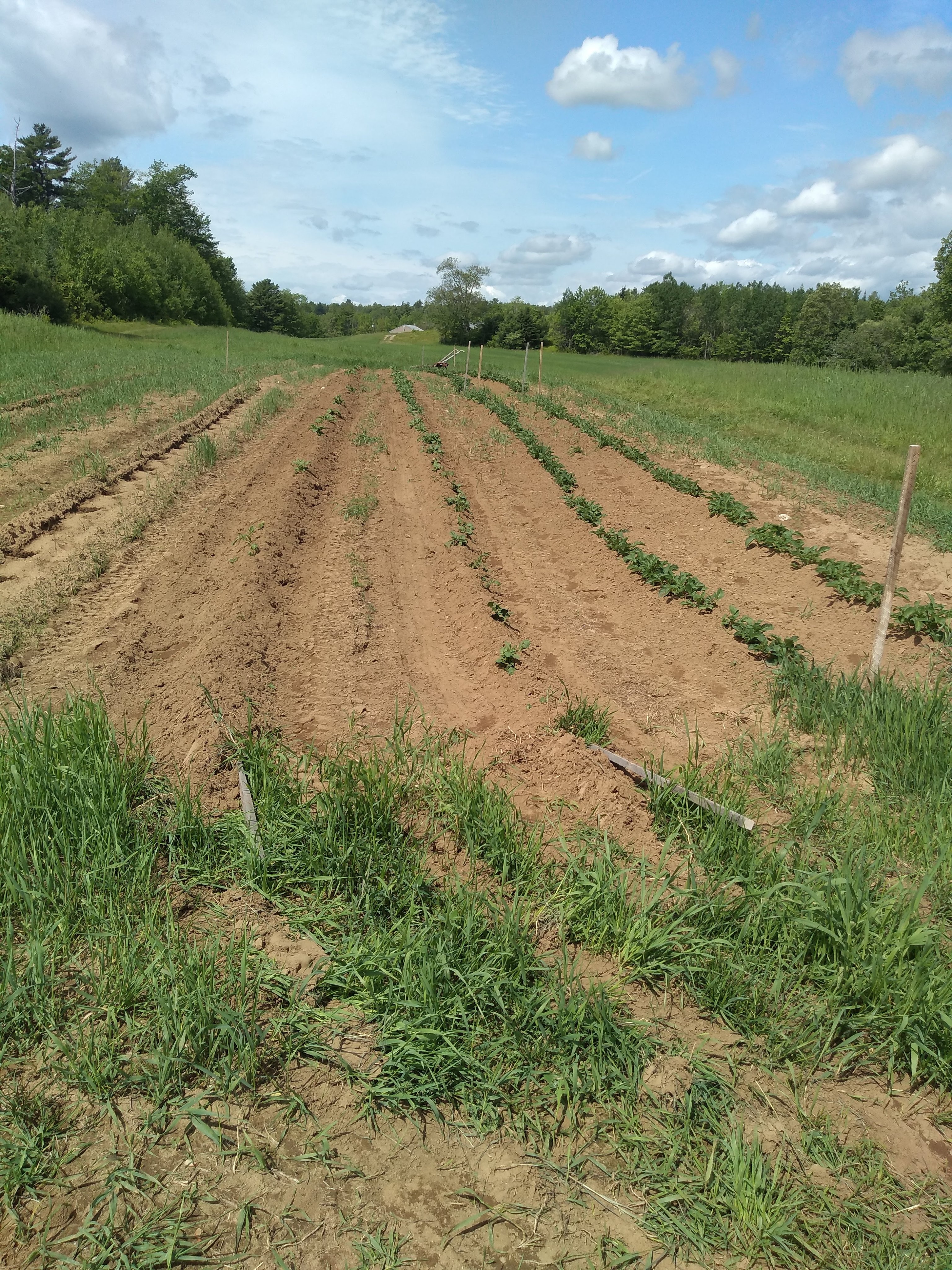 img_20190616_103806046