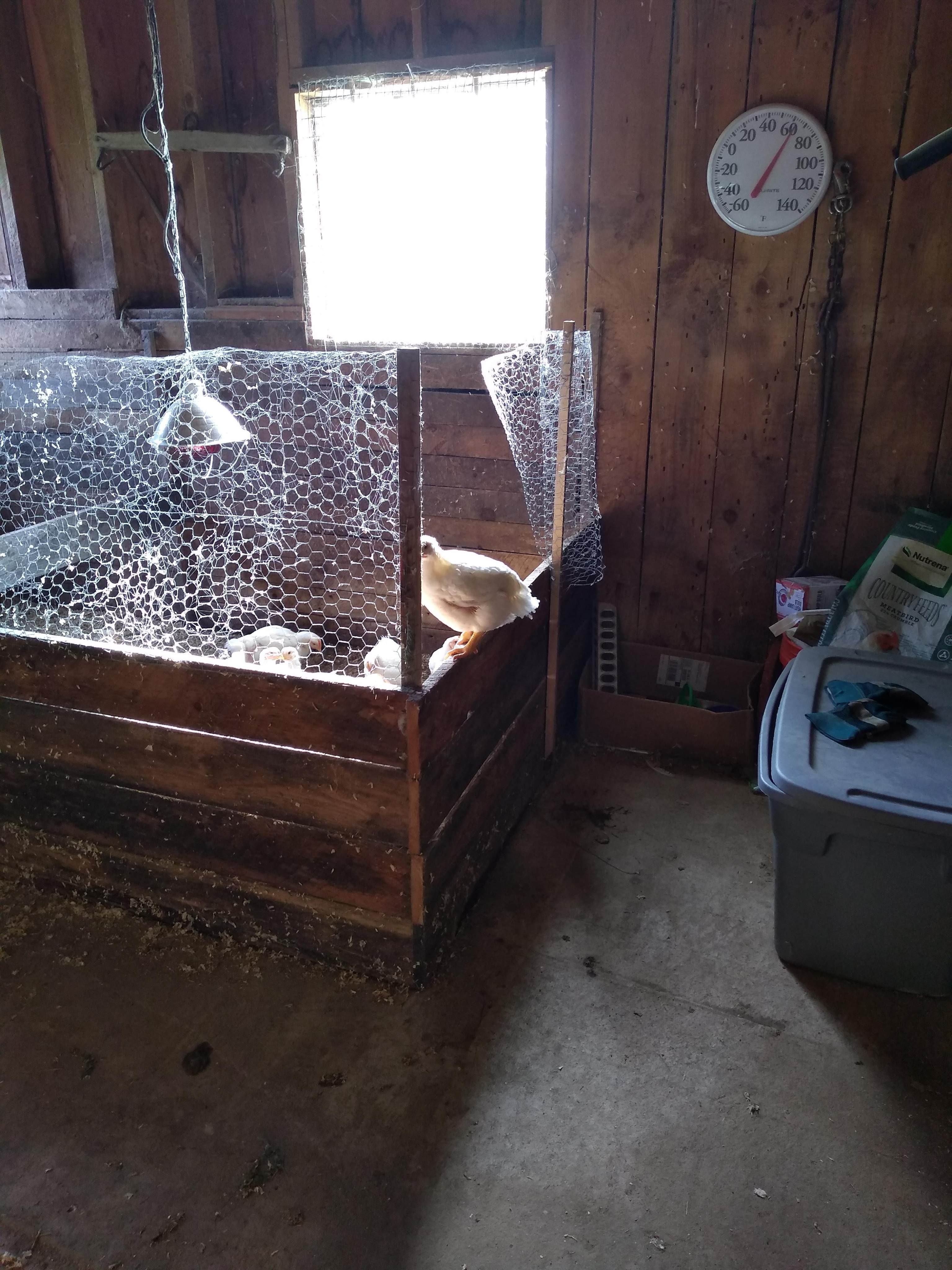 img_20190622_081212952