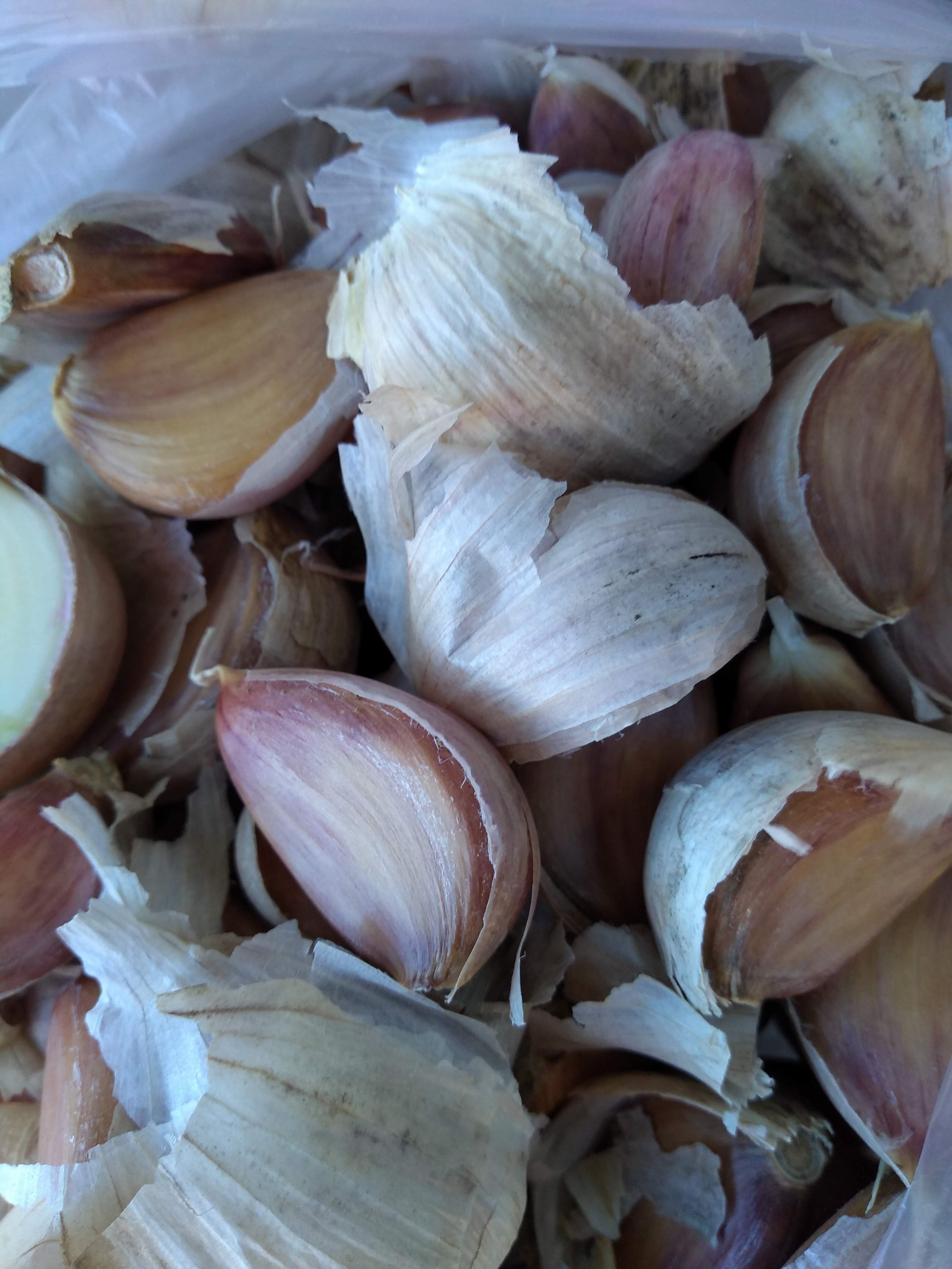 img_20191106_120513384