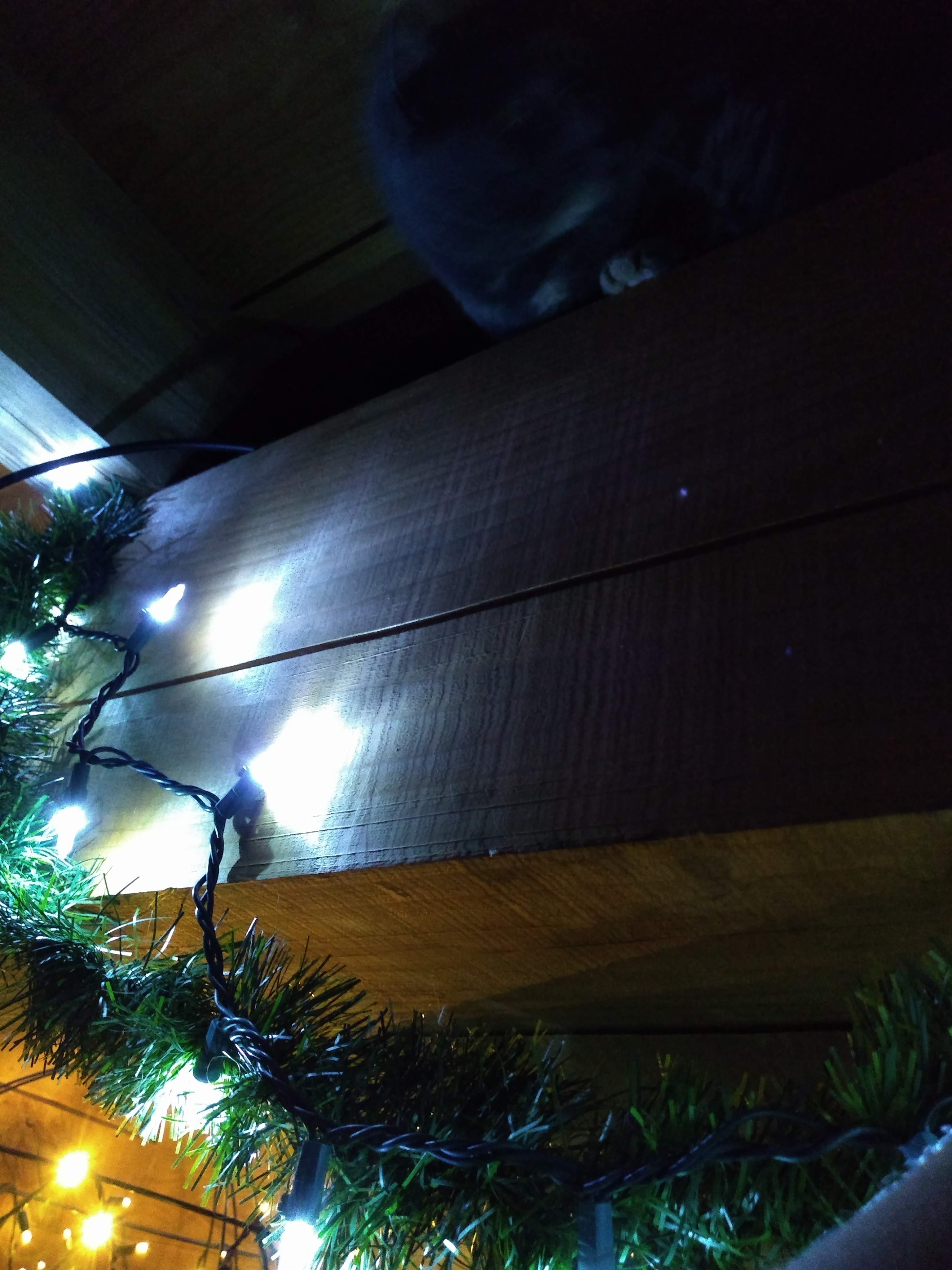 img_20191210_163246441