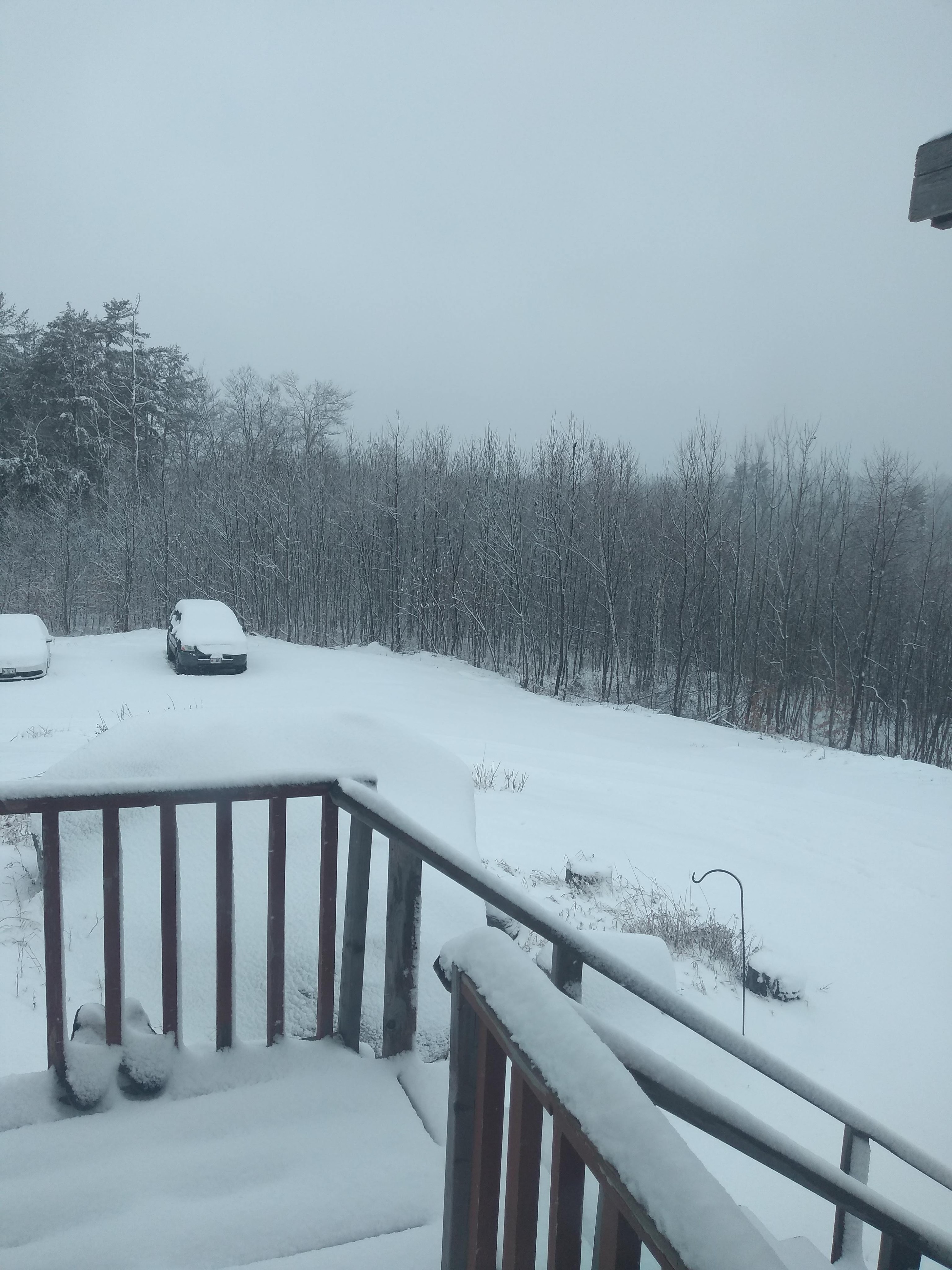 img_20191231_094914155