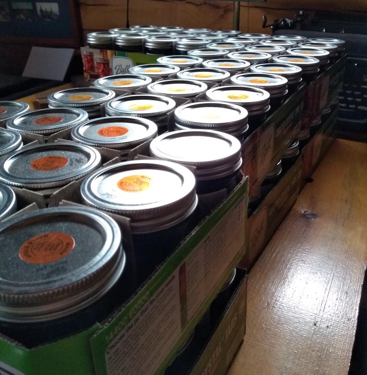 img_20200329_122803599