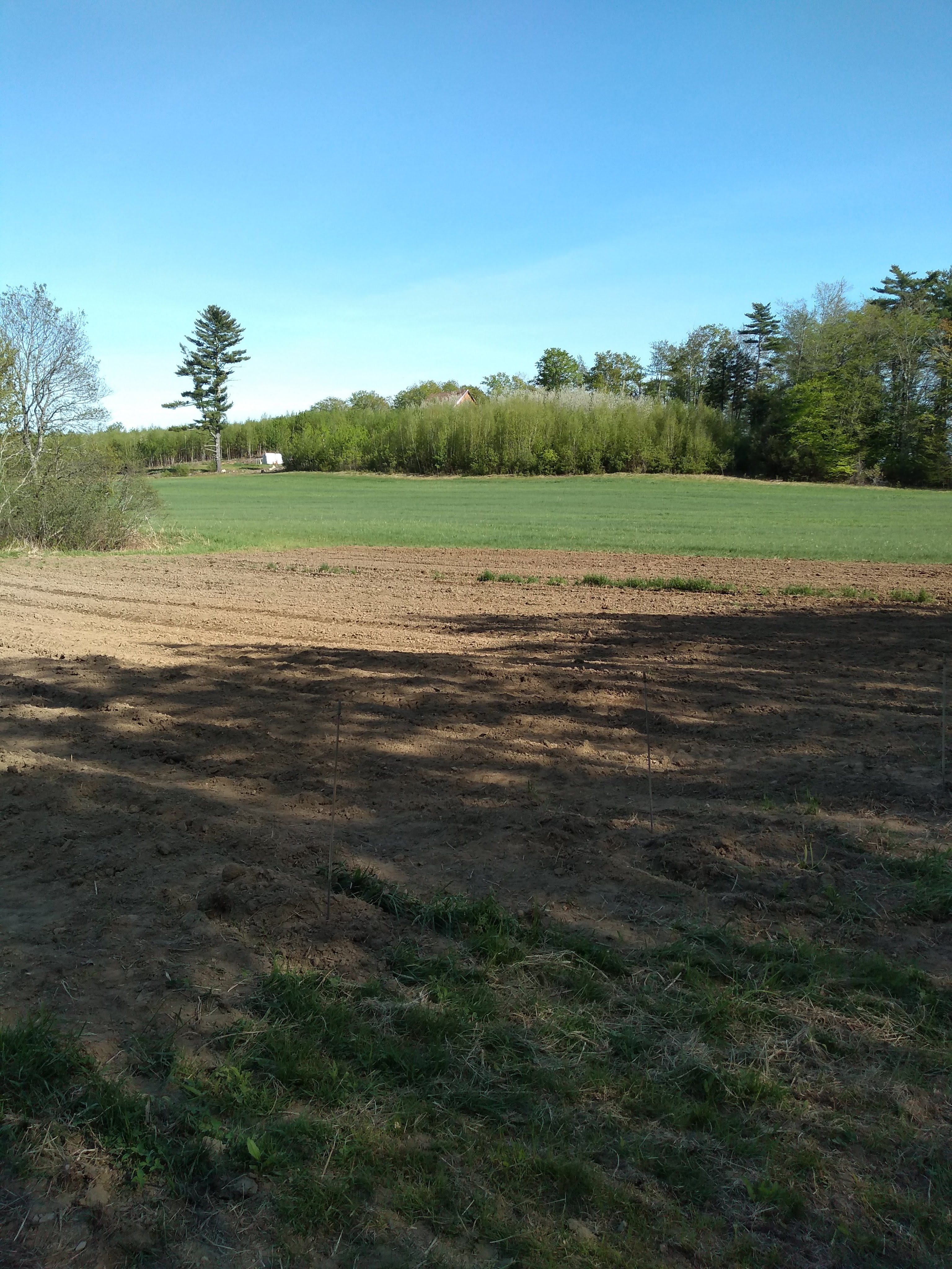 img_20200526_163607408