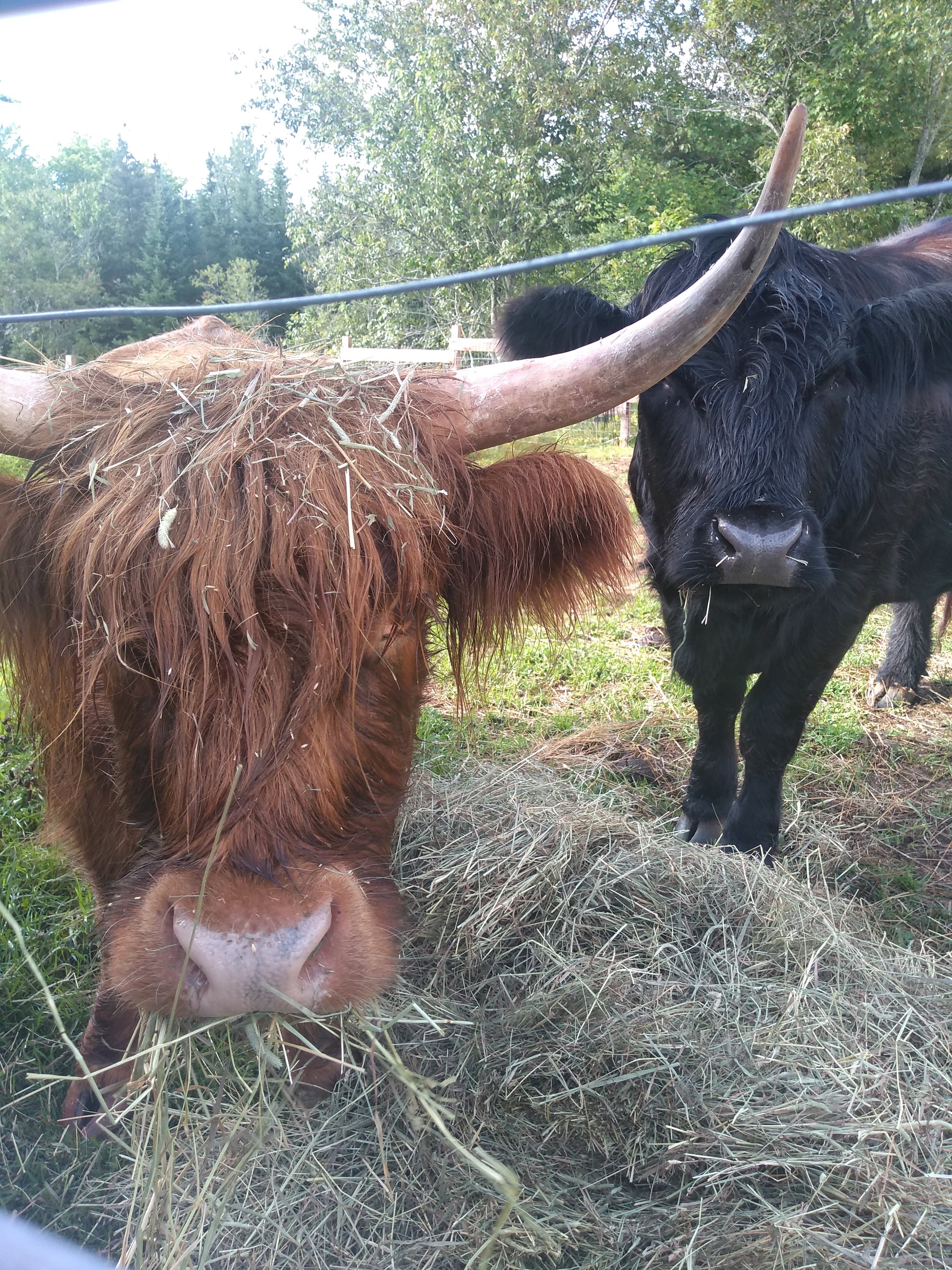 img_20210814_162023500